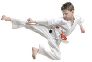 in Fayetteville - Family Martial Arts Academy