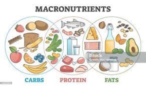 Macros and Why Nutrition Doesn’t Have to be Complicated