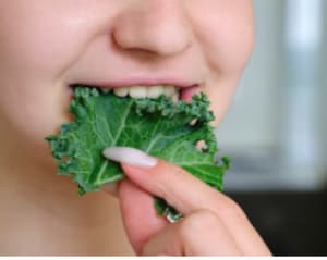 Blog Series: The Mouth – Where Digestion Begins, Part 1 - Why it Matters