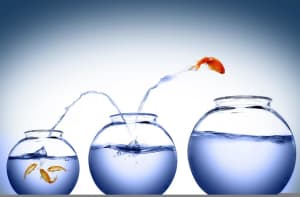 Level Up Your Success!