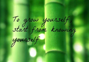 Know Yourself to Grow Yourself