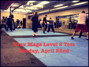 Krav Maga L2 Test