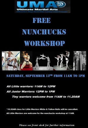 Nunchucks workshop September 13th Krav Maga Chicago 