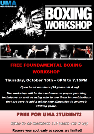 Boxing Workshop