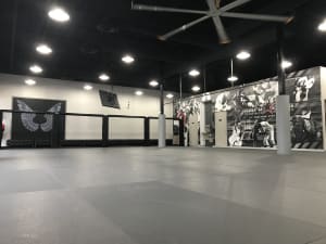 RockStar McKinney Martial Arts COMING SOON!  