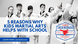 5 Reasons Why Kids Martial Arts Helps With School!