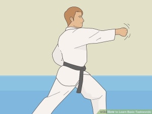 How to Learn Basic Taekwondo