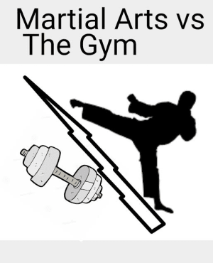 Martial Arts VS the Gym