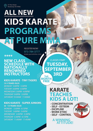 Pure MMA Teams Up With NJMAA For All New Kids Karate In Rockaway