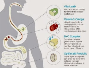 Supplementing For Wellness