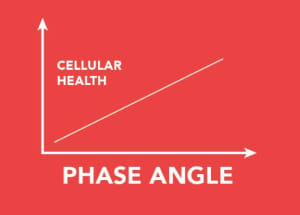 Your Body and You: A Guide to Phase Angle