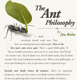 4 Pieces to The Ant Philosophy