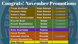 November Belt Test Results