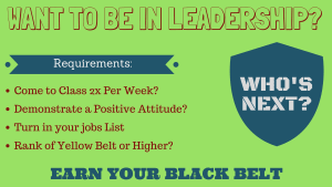 Want to Be in Leadership At PRO Martial Arts Naperville?