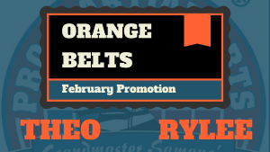 Rylee and Theo Test For Orange Belts