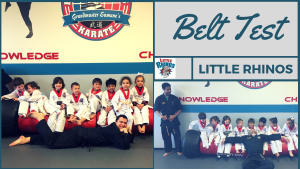 PRO Martial Arts Naperville - Little Rhino Belt Test Highlight Video