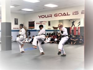 PRO Martial Arts Naperville Yellow Belt Highlight Video