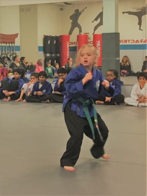 Advanced Green Belt Promotion in Naperville