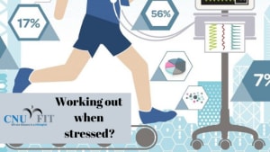 Milford Personal Trainer: Should you workout when stressed?