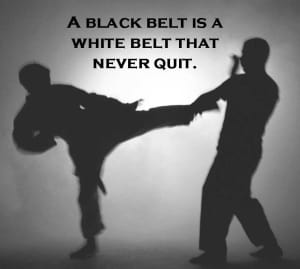 Types of Fulfillment from Martial Arts???