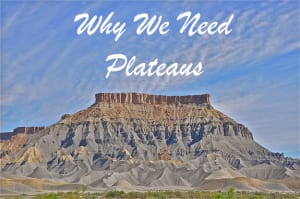 Why We Need Plateaus