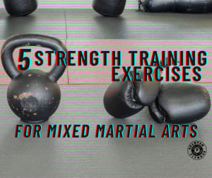 Top 5 Grip Training Exercises for MMA - Skill of Strength