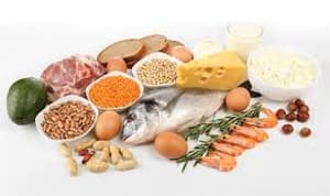 Protein: The Key to your Weight Loss