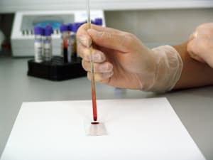 Do blood tests tell you much about your health?