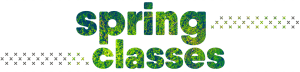 4 Week Spring Offer $89
