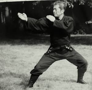 Part 4 of our series on the Top Martial Arts that influenced the way we train today. The 1980's.