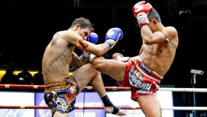 Part 8 in our series on the top Martial Arts that influenced the way we train today. MUAY THAI