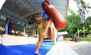 "10 Essential Tips for Traveling and Training in Muay Thai in Thailand"