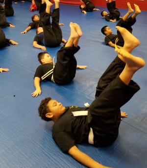 MARTIAL ARTS BREAKFALLS: Falling with Purpose