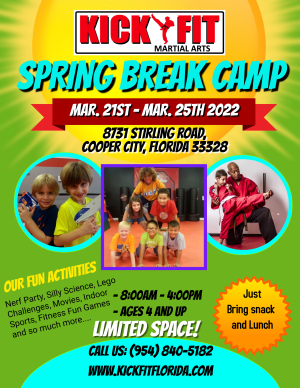 Taekwondo and Krav Maga Spring Break Camp in Cooper City
