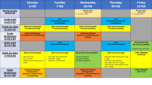 Mad Science notes and lesson plan for 6-10 Feb, 2023