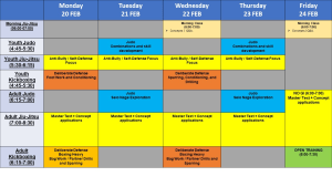 Mad Science notes and lesson plan for 20-25 Feb, 2023