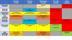 Mad Science notes and lesson plan for 27 February – 4 March 2023. 