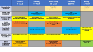 Mad Science notes and lesson plan for 6-10 March 2023