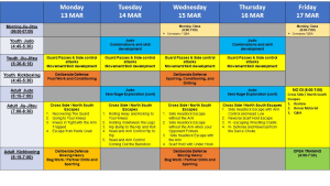 Mad Science lesson plan and Note 13-19 March 2023