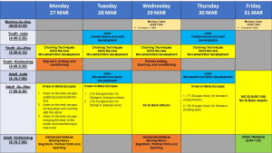 Mad Science notes and lesson plan for 27- 31 March 2023