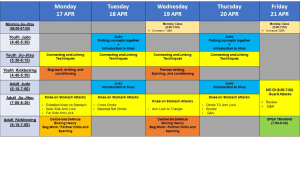 Mad Science notes and lesson plan for 17-21 April 2023