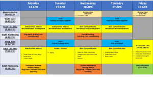 Mad Science notes and lesson plan for 24-28 April 2023