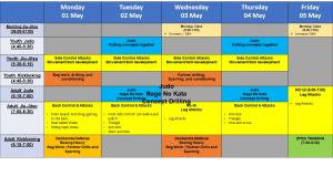 Mad Science notes and lesson plan for 1-5 May 2023