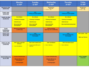 Mad Science Lesson Plan (11-17 September) Vale Tudo Week