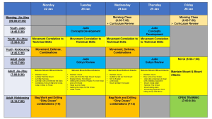 Mad Science Lesson Plan and Notes 22-26 Jan 2024