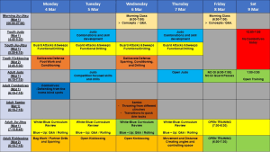 Mad Science notes and lesson plan for 4-10 March 2024