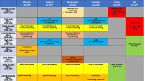 Mad Science notes and lesson plan for 22-26 APR 2024.