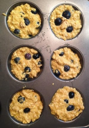 Real Results Nutrition- Easy Oatmeal and Blueberry Protein Muffins