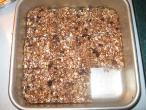 Real Results Nutrition- Homemade Granola Bars (High Protein)