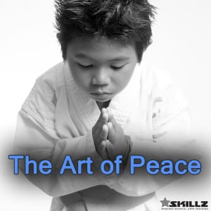 Martial Arts - The Art of Peace